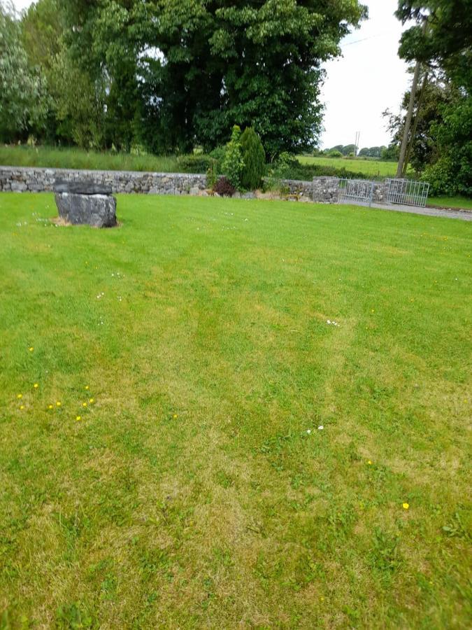 Katy Kellys Countryside Self Catering Cottage 罗斯康芒 外观 照片
