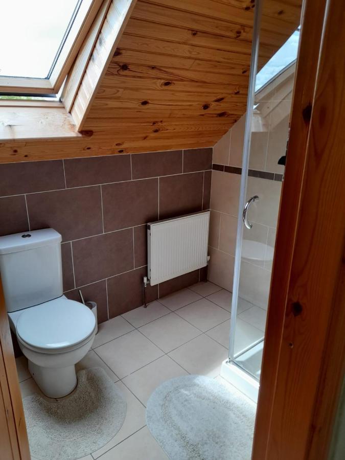 Katy Kellys Countryside Self Catering Cottage 罗斯康芒 外观 照片