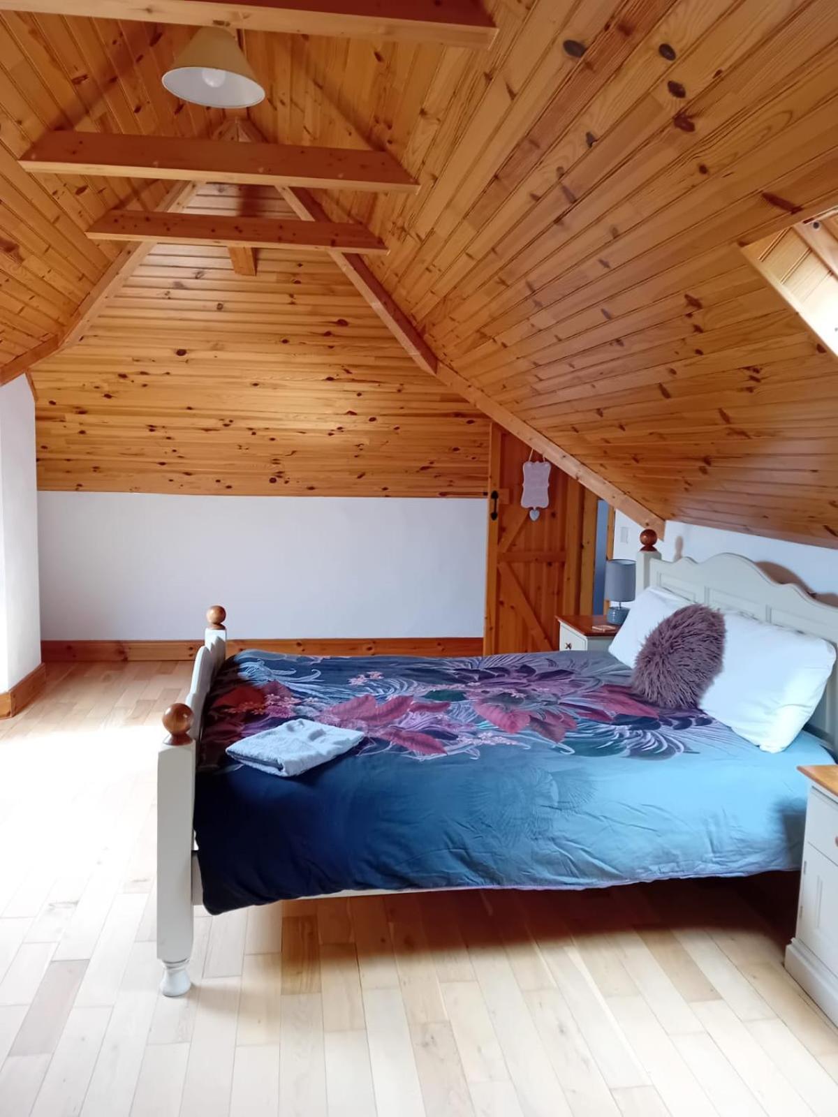 Katy Kellys Countryside Self Catering Cottage 罗斯康芒 外观 照片
